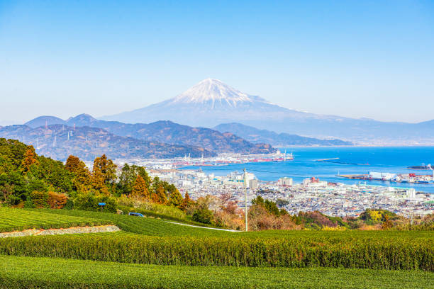 静岡県の合宿免許の特徴