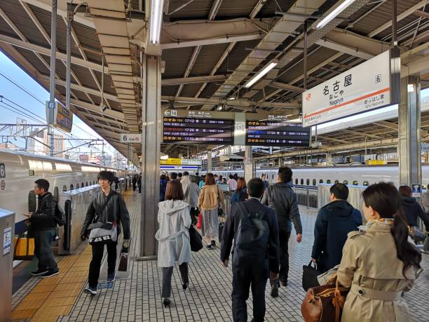 愛知県の合宿免許で観光、ご当地グルメを楽しみながら運転免許を取得しよう！