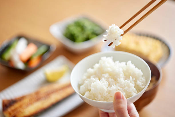 食事が美味しい教習所の特徴