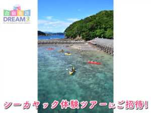 ランキング1位：かいふ自動車学校！（徳島県）【男子大生に人気・おすすめの合宿免許】