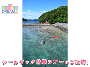 かいふ自動車学校！【徳島県の自動車学校】